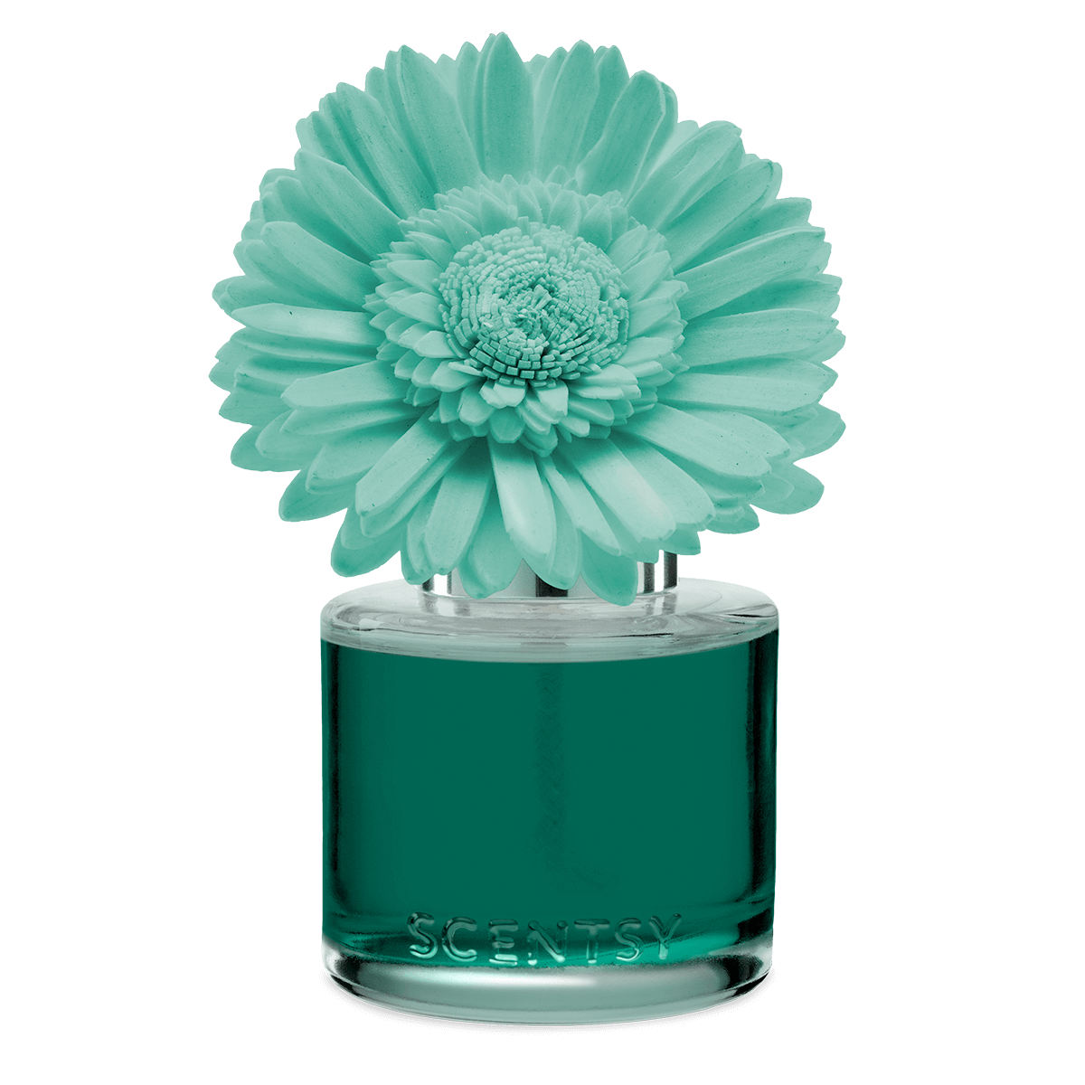 Water Lily and Bergamot Dainty Daisy Fragrance Flower